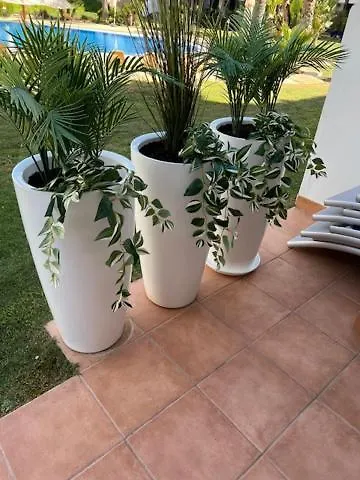 Sol, 468 קווארטיירה